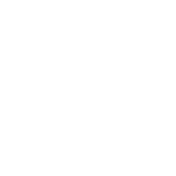 q1