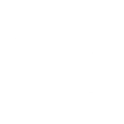 q2